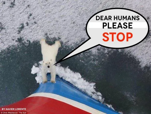 Dear humans